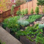 Как сделать садовую дорожку своими руками: дорожки из бетона, камня и дерева
