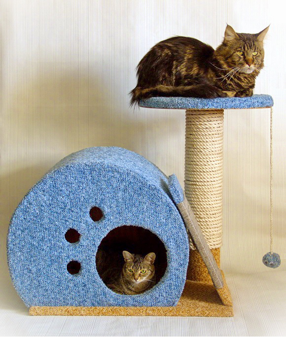 Как сделать одноэтажные домики для кошки из коробок