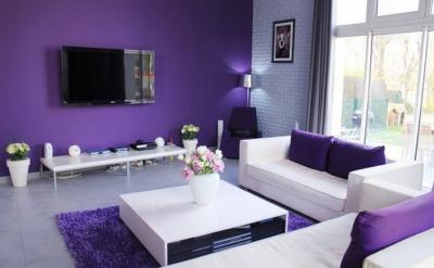 Salón violeta de 18 m2 4 