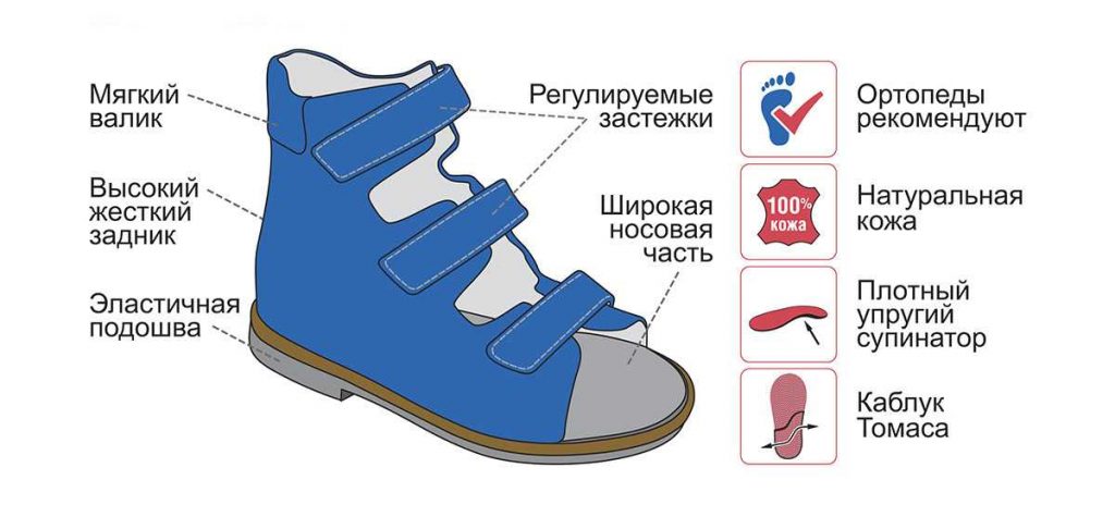 Анатомические особенности детской стопы и их учет при выборе обуви