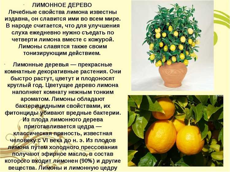 Ядовитость домашнего лимона