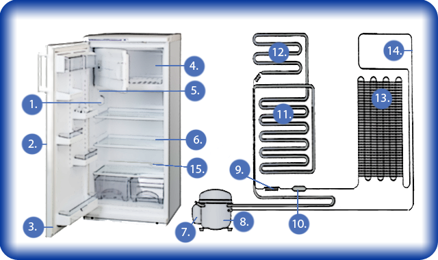 stroenie-holodilnika-4410746
