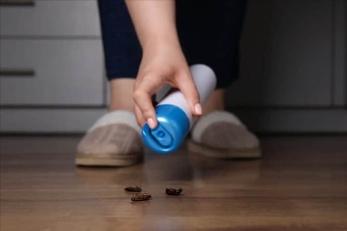 10 простых советов, как избавиться от тараканов в доме