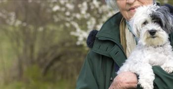 Могут ли собаки помочь вам жить дольше и здоровее