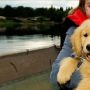 Могут ли собаки жить на лодках