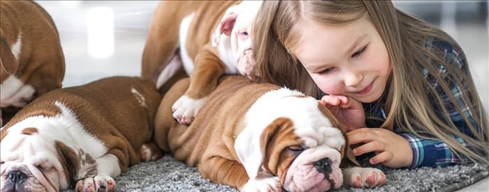 Могут ли собаки пахнуть лучше, чем люди?
