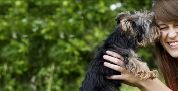 Чувствуют ли собаки запах человеческих гормонов