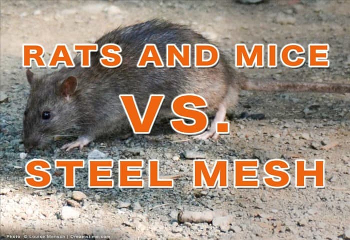 Могут ли мыши и крысы прогрызть сетку из нержавеющей стали?