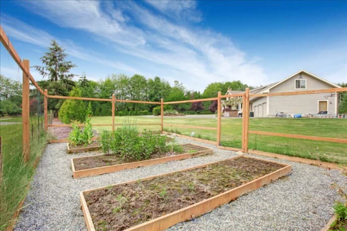 7 шагов по строительству садового ограждения, защищающего от кур