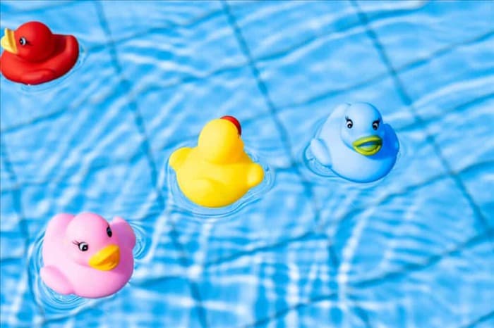 8 простых советов, как не допустить уток в бассейн