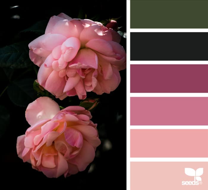 Цветовая палитра сочетание розового